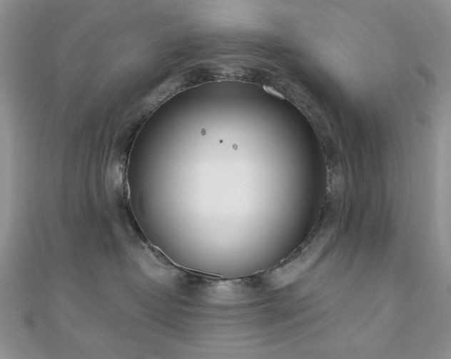 X0000110900382200906181327