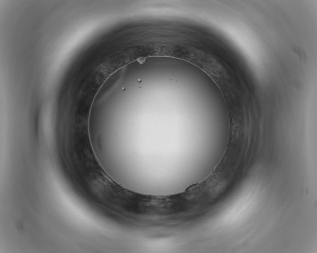 X0000110900383200906181327