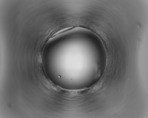 X0000110900384200906181327