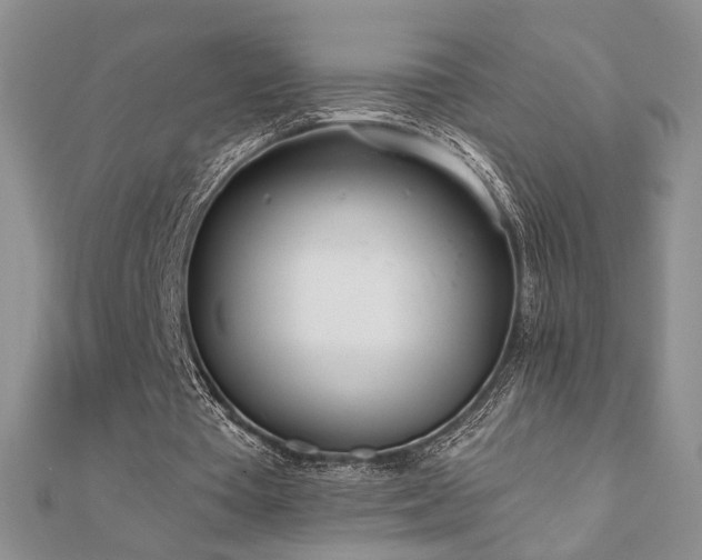 X0000110900385200906181327