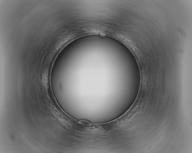X0000110900386200906181327
