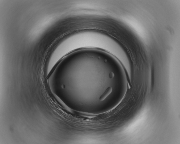 X0000110900387200906181327