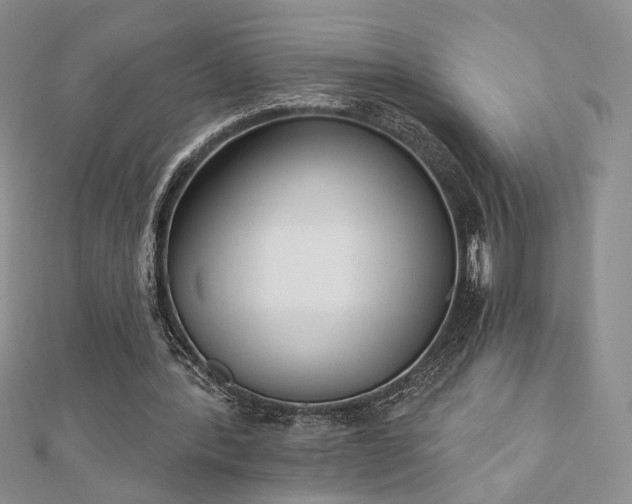 X0000110900388200906181327