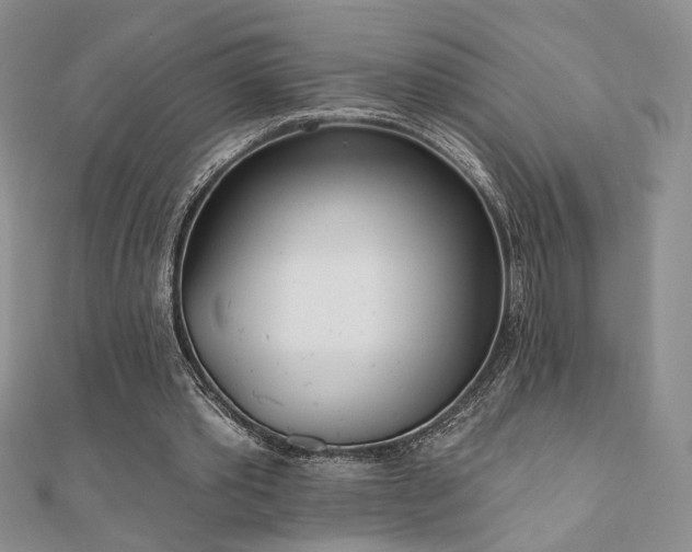 X0000110900389200906181327