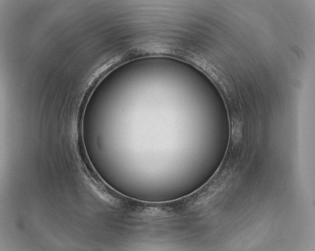 X0000110900390200906181327