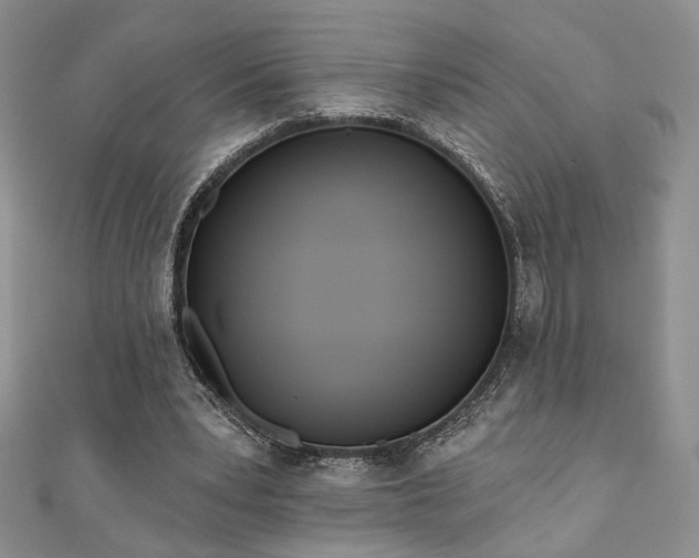 X0000110900391200906181327