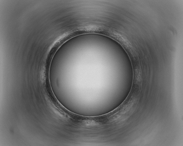 X0000110900392200906181327