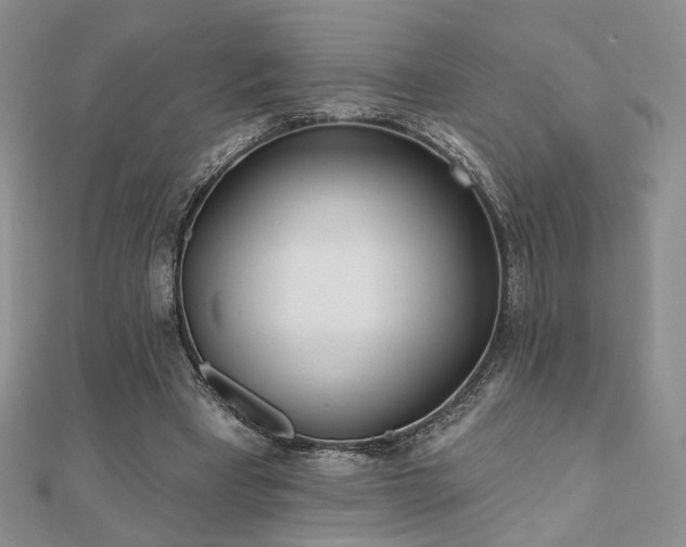 X0000110900393200906181327