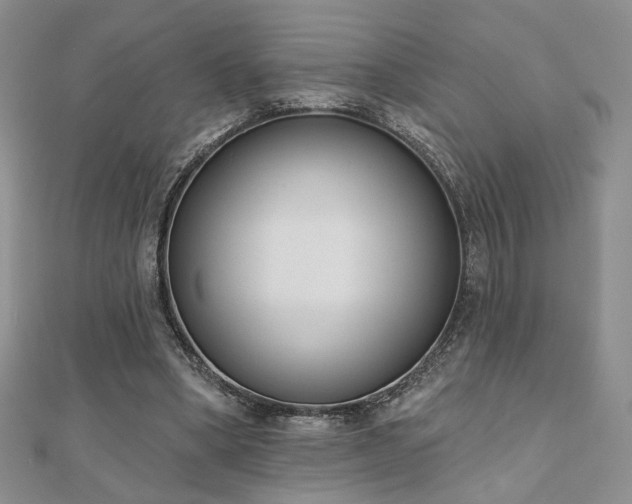 X0000110900394200906181327