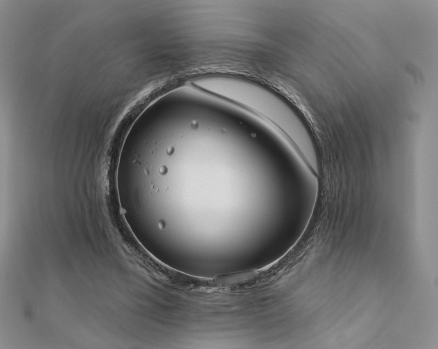 X0000110900395200906181327