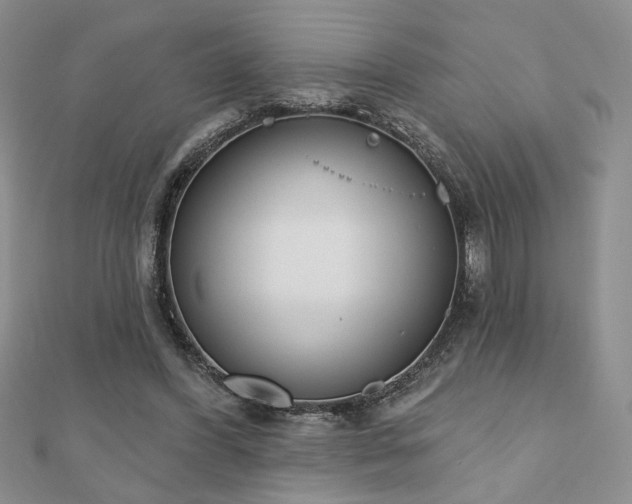 X0000110900396200906181327