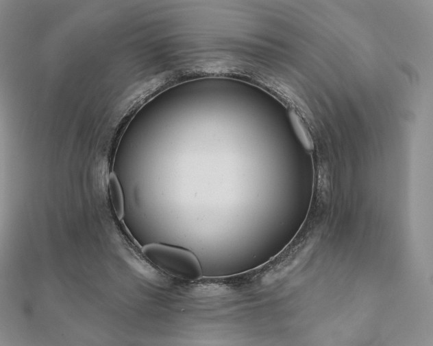 X0000110900397200906181327