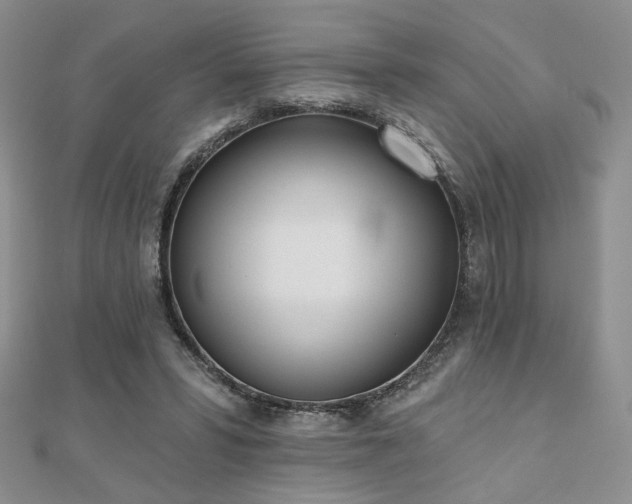 X0000110900399200906181327