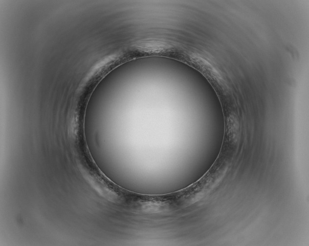 X0000110900400200906181327