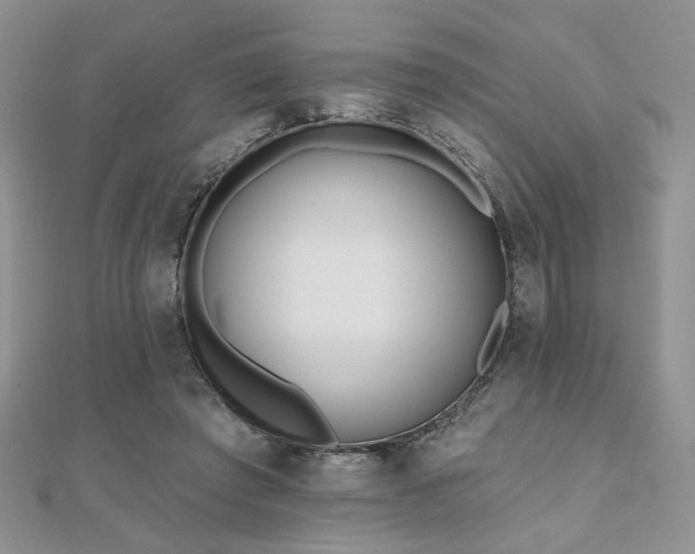 X0000110900401200906181327