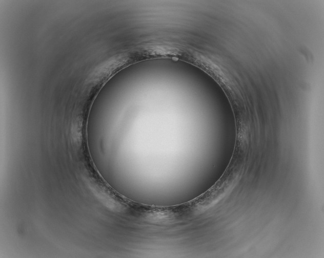 X0000110900402200906181327