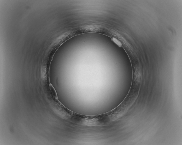 X0000110900403200906181327