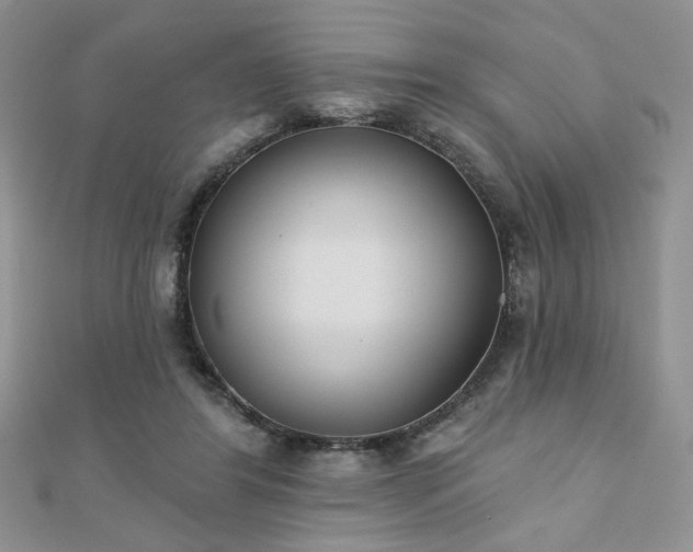 X0000110900404200906181326