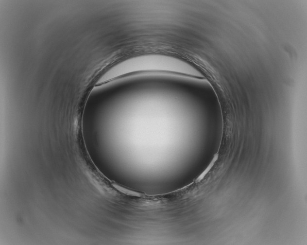 X0000110900405200906181326