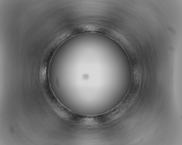 X0000110900406200906181326