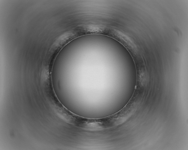 X0000110900407200906181326