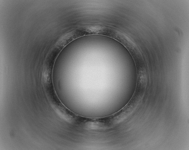X0000110900408200906181326