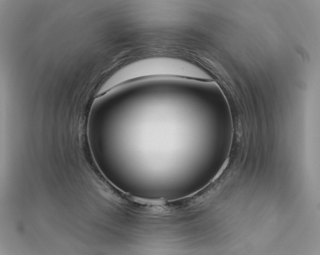 X0000110900409200906181326