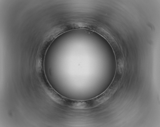 X0000110900410200906181326