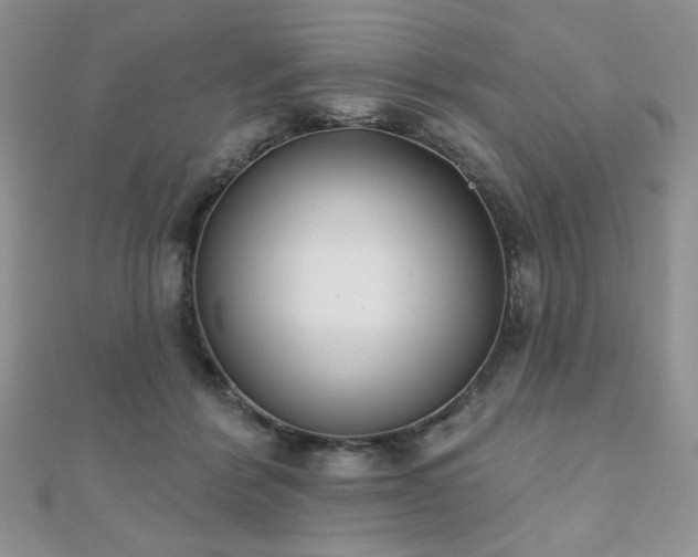X0000110900412200906181326