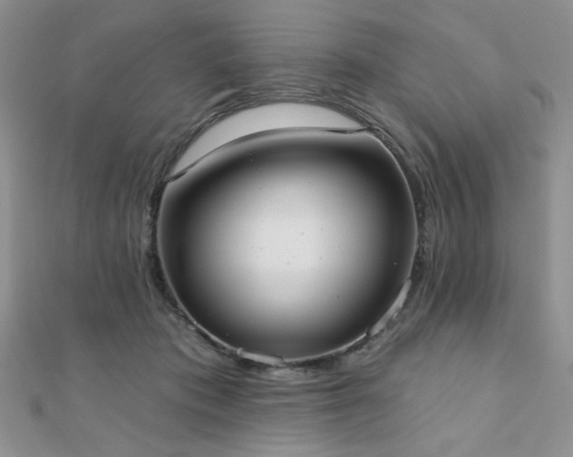X0000110900413200906181326
