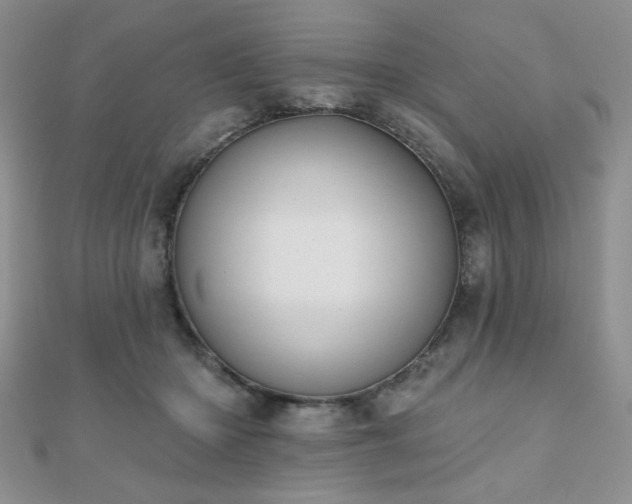 X0000110900414200906181326