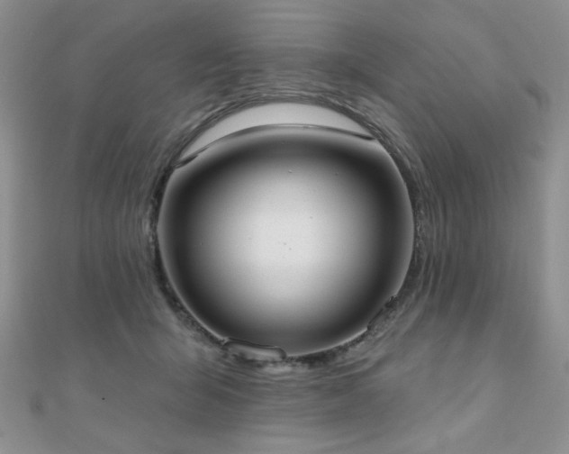 X0000110900415200906181326