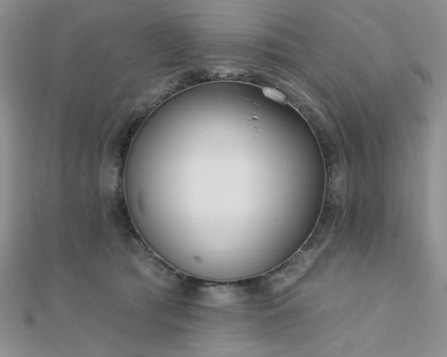 X0000110900417200906181326