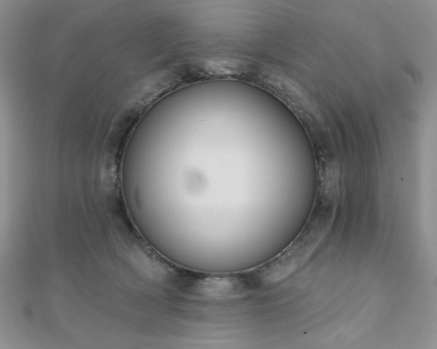 X0000110900418200906181326