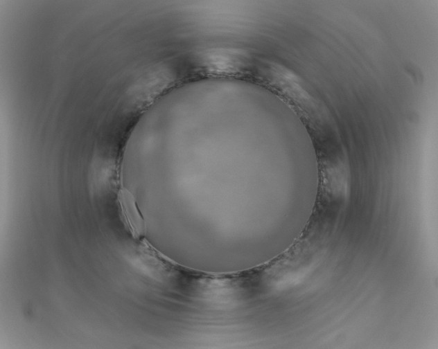 X0000110900419200906181326