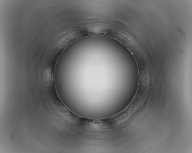 X0000110900420200906181326