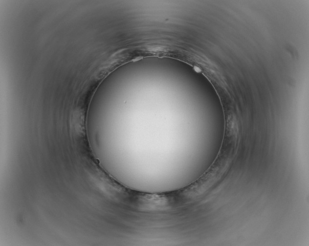X0000110900421200906181326
