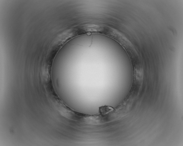 X0000110900422200906181326