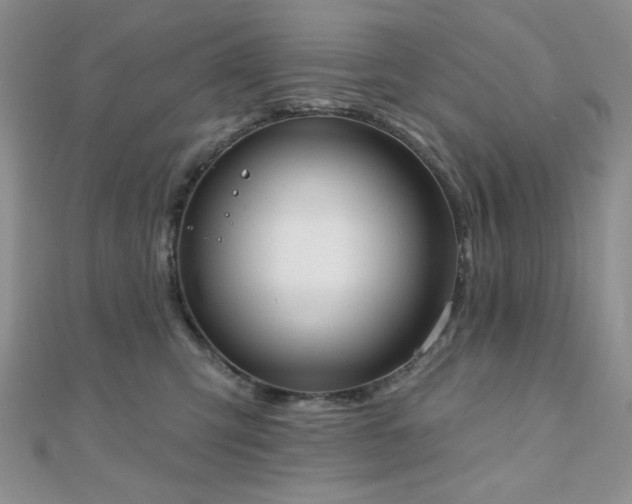 X0000110900423200906181326
