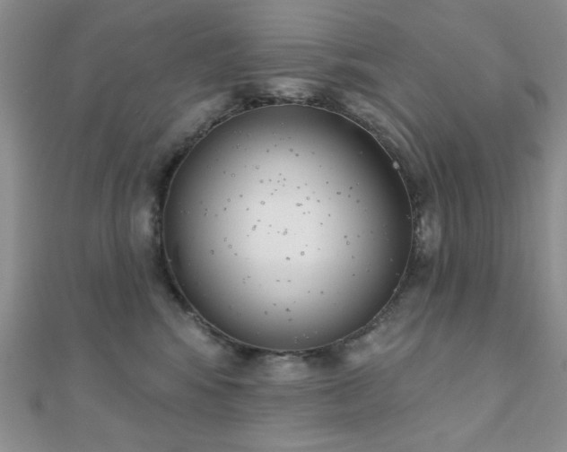 X0000110900424200906181326