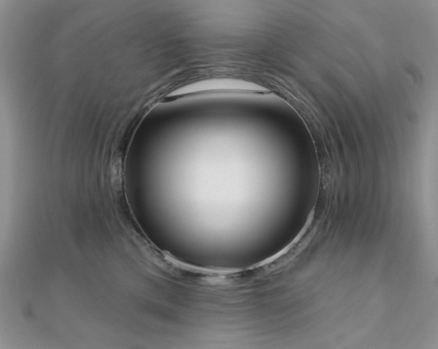 X0000110900425200906181326