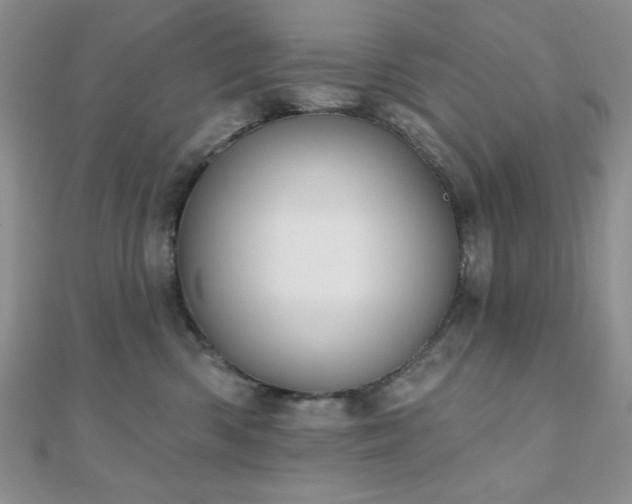 X0000110900426200906181326