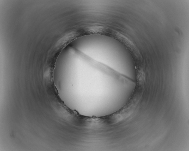 X0000110900428200906181326