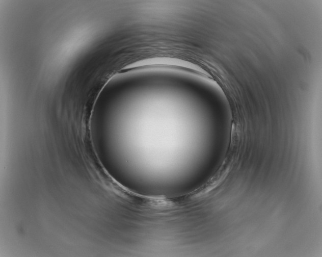 X0000110900429200906181326