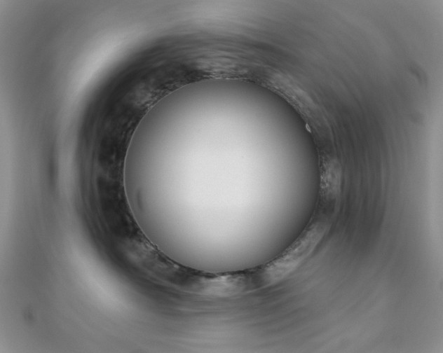 X0000110900430200906181326