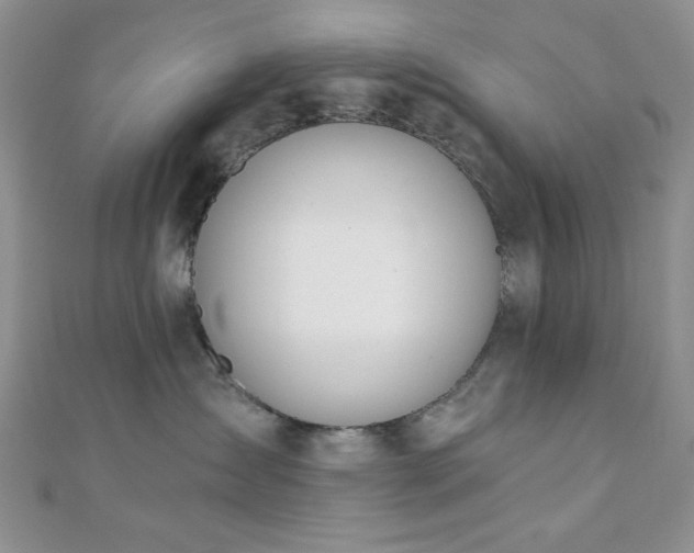 X0000110900431200906181326