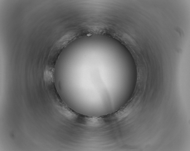 X0000110900432200906181326