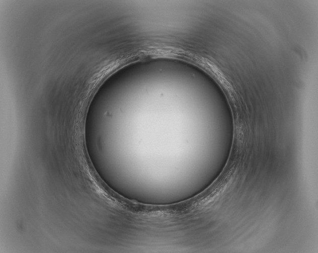 X0000110900433200906181326