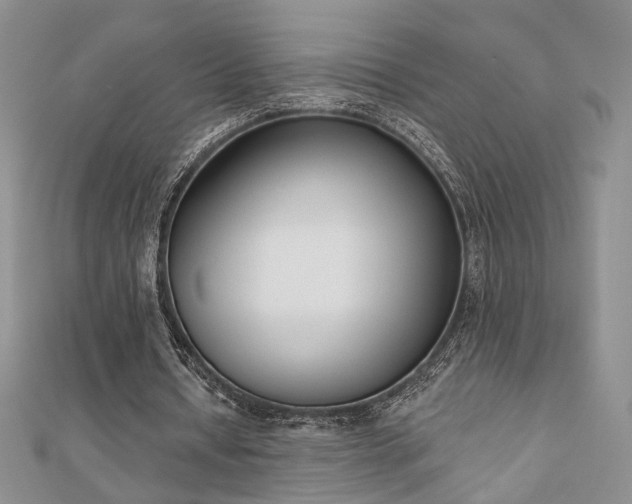 X0000110900434200906181326