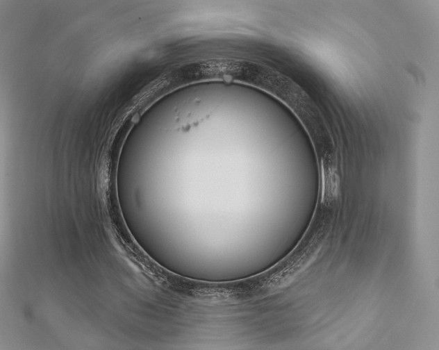 X0000110900435200906181326